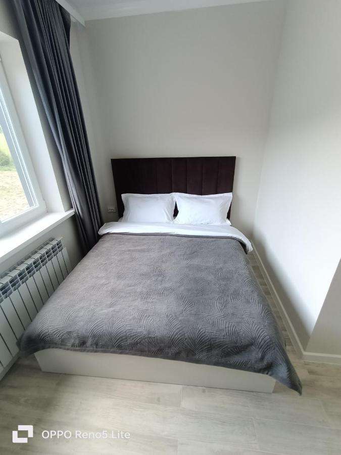 Hotel Kolsay Eki Agayindy Kurmenty Esterno foto